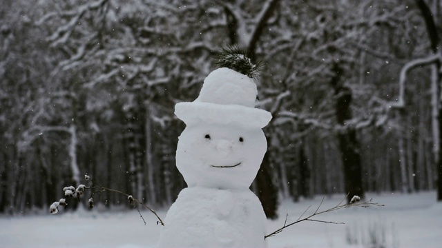 雪人。下雪的雪人视频素材