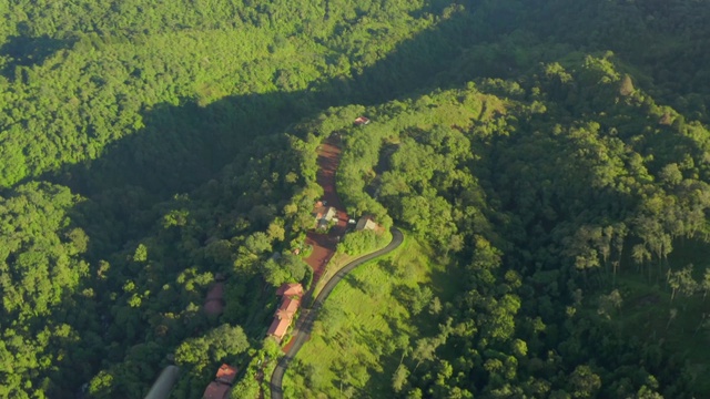 航拍:绿树成荫的房屋和蜿蜒的道路视频素材