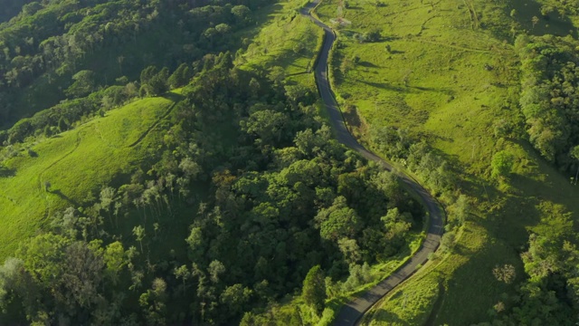 空中:郁郁葱葱的绿色中蜿蜒的道路视频素材