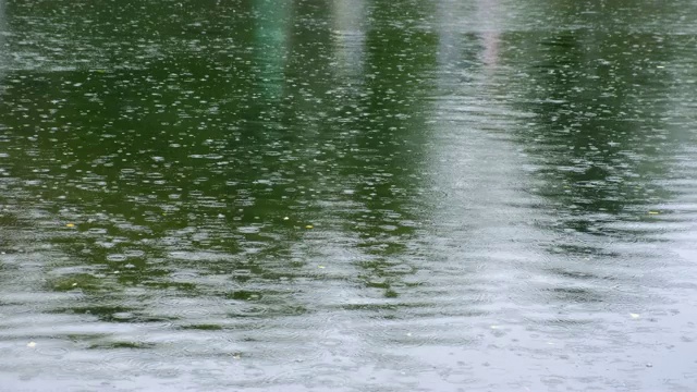 雨滴在湖面上泛起涟漪视频素材