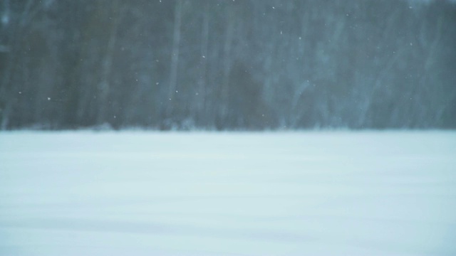 落在林中空地上的雪视频素材