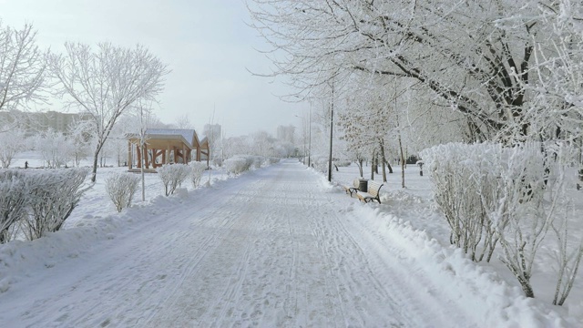 被白雪覆盖的城市公园视频素材