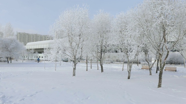 被白雪覆盖的城市公园视频素材