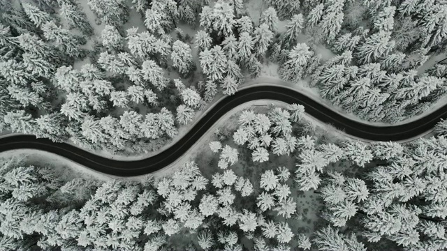 无人机拍摄的雪林中蜿蜒的道路视频下载