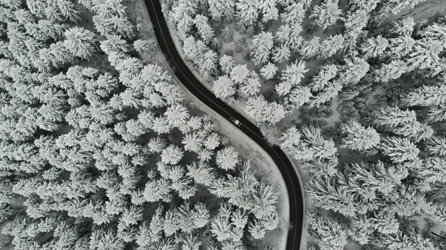 无人机拍摄的雪林中蜿蜒的道路视频下载