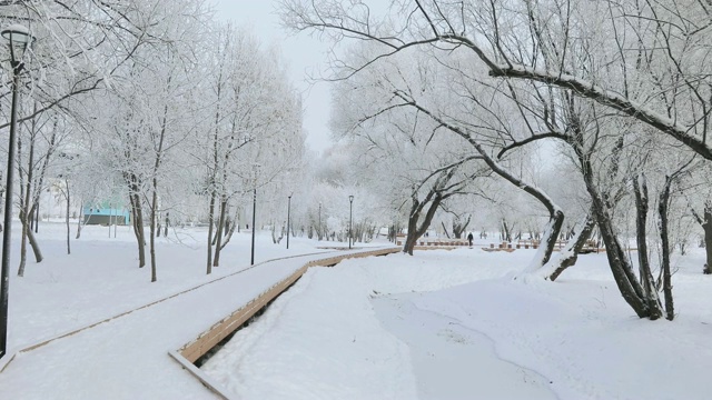 被白雪覆盖的城市公园视频素材