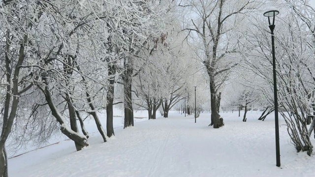 被白雪覆盖的城市公园视频素材