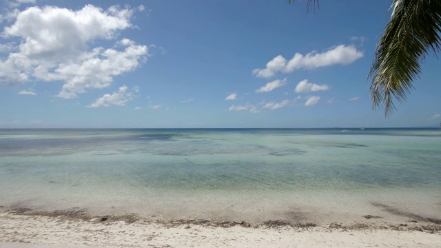 地平线背景上的蓝色大海和夏日海滩上的棕榈树枝条的时间流逝视频素材