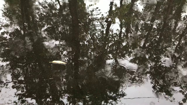 雨滴落在潮湿的沥青上，大雨和城市的水坑视频素材