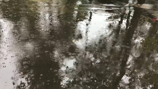 雨滴落在潮湿的沥青上，大雨和城市的水坑视频素材