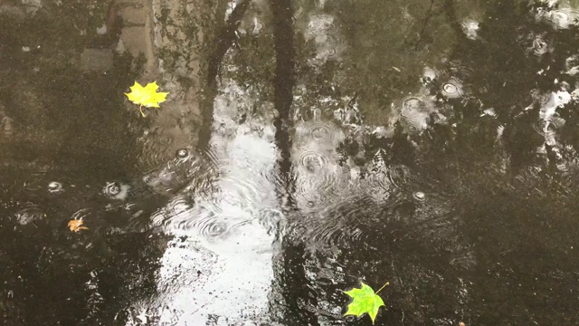 雨滴落在潮湿的沥青上，大雨和城市的水坑视频素材