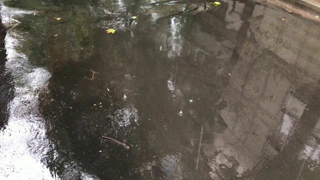 雨滴落在潮湿的沥青上，大雨和城市的水坑视频素材