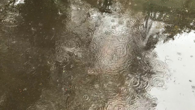 雨滴落在潮湿的沥青上，大雨和城市的水坑视频素材