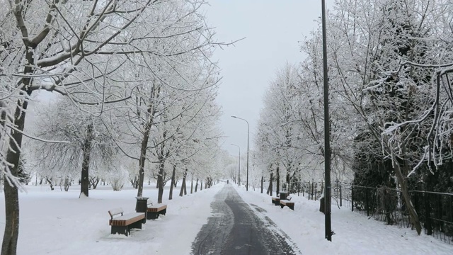 被白雪覆盖的城市公园视频素材