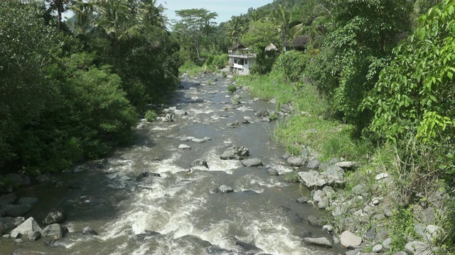 热带雨后的深山大河，岩石河岸上生长着茂密的异国森林，水流湍急，令人惊叹的河景。印尼巴厘岛视频素材