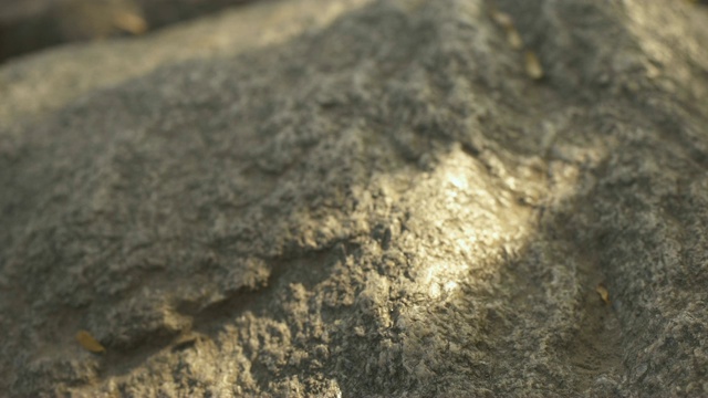 人爬山，登高，积极休闲，生存训练，徒步旅行视频素材