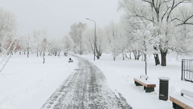 雪地里的木凳视频素材