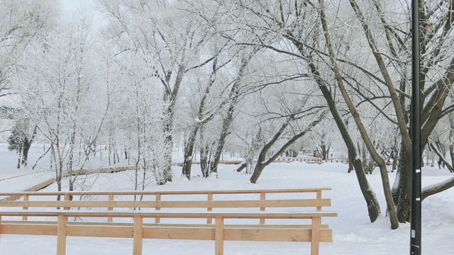 被白雪覆盖的城市公园视频素材