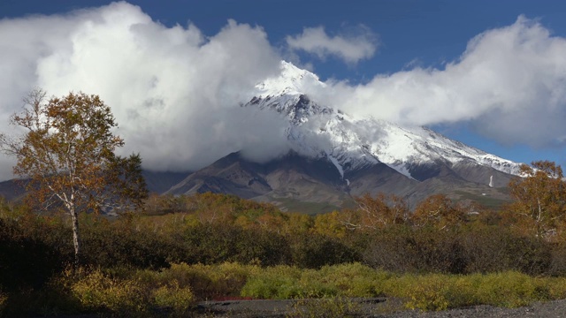 美丽的秋季山景景色，锥火山，黄橙森林视频素材