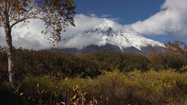 令人惊叹的秋季山景锥火山，黄橙色森林视频素材