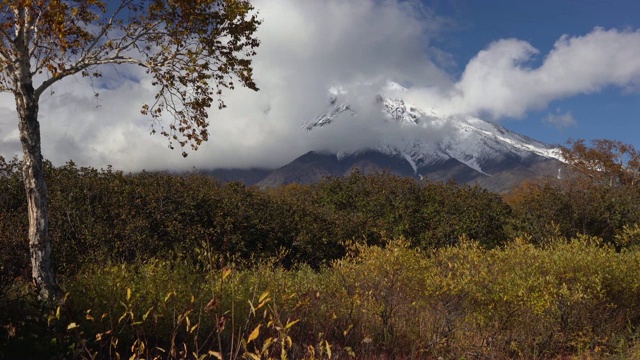 美丽的秋季山景景色，锥火山，黄橙森林视频素材