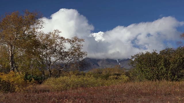 山峦秋色如画，火山锥景，橘黄色森林视频素材