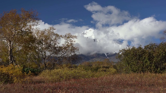 风景如画的火山山景观，锥状火山景色，橘黄色森林视频素材