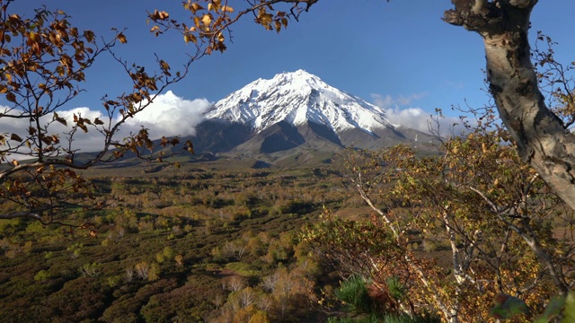 美丽的火山景观-岩锥火山，黄橙色森林视频素材