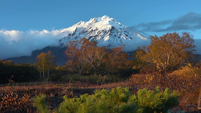 令人惊叹的火山景观，岩石锥火山，黄橙色森林视频素材