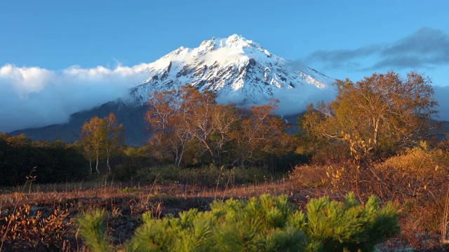 风景如画的火山景观，岩锥火山景色，橘黄色森林视频素材