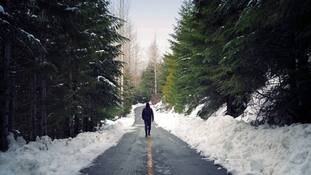 一个人走在树林里的雪路上视频素材