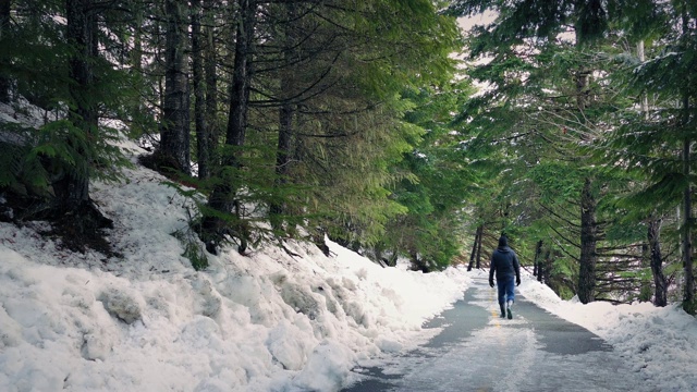 雪地里，一个人走在森林的路上视频素材