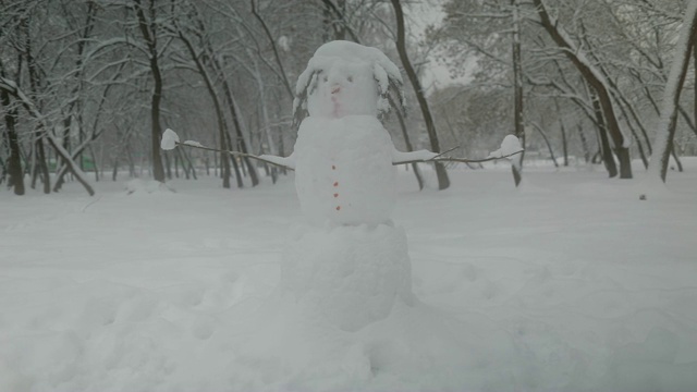 滑稽的雪人站在城市公园的中央。下雪的天气。树被雪覆盖着视频素材