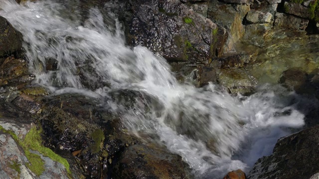 野生自然的清澈，水晶清澈的小溪水从高山河流在阳光明媚的日子视频素材