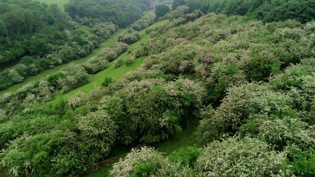 科茨沃尔德农村,英格兰视频素材