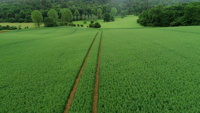 科茨沃尔德农村,英格兰视频素材