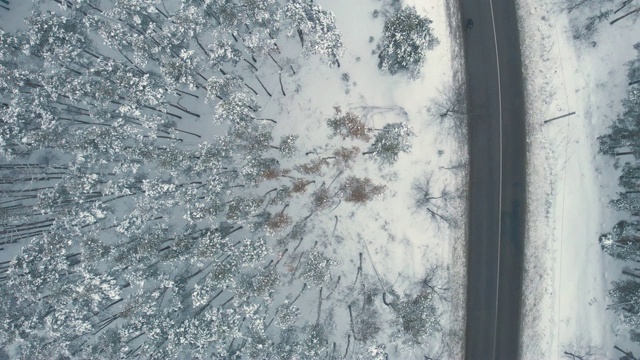 航拍的沥青公路在冬天的景观在雾天冰冻森林在雪，无人机拍摄视频素材