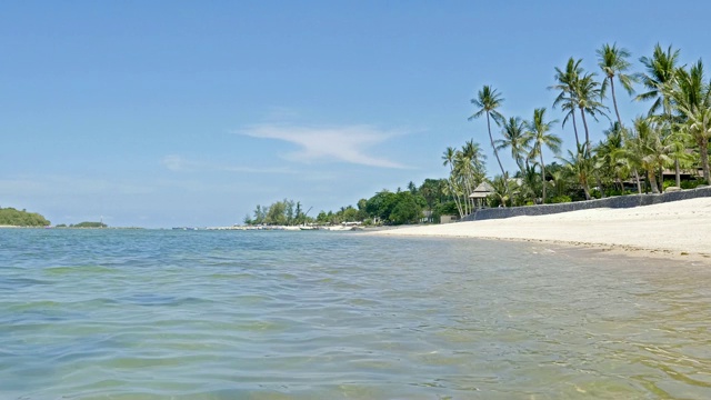 美丽的热带海滩和海洋，棕榈树和其他树木旅游视频素材