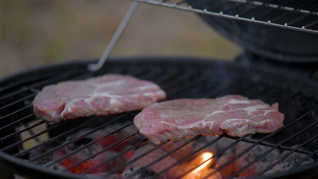 在烤架上烤肉排视频素材