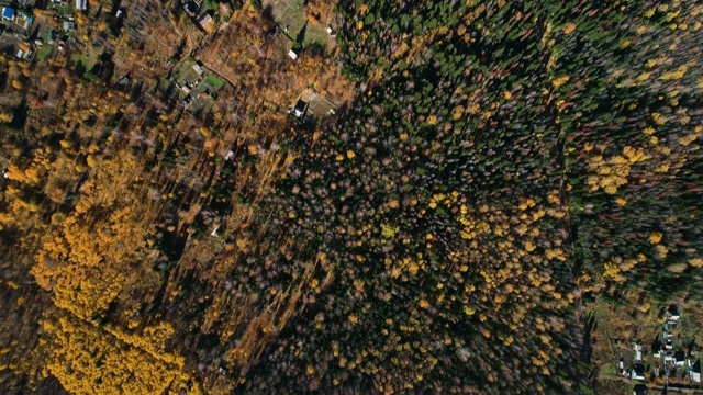 在秋天的森林中，从村庄的高处俯瞰全景。视频素材