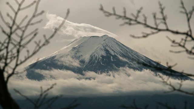 冬天富士山有红塔，日本藤吉田视频素材