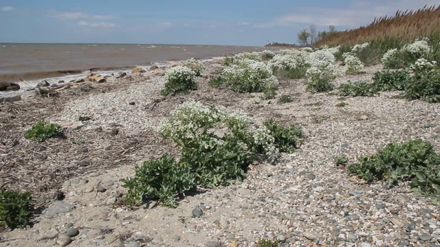 波涛汹涌的大海和多岩石的海岸视频素材