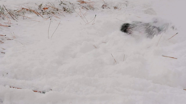 遥控快速拖车在雪道上漂移视频素材