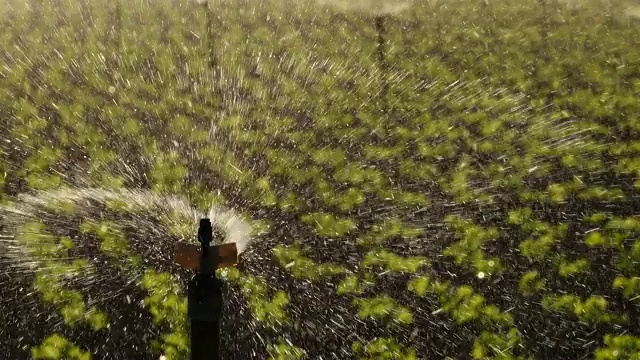 生菜农场和自动浇水视频素材