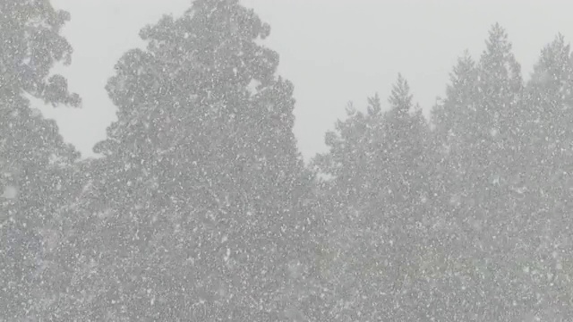 冬天的雪花视频素材