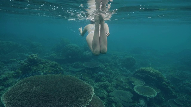 戴着浮潜面罩的女人在海底游泳，看珊瑚礁和鱼。年轻女子浮潜在海洋和享受水下世界。海洋生物。视频素材