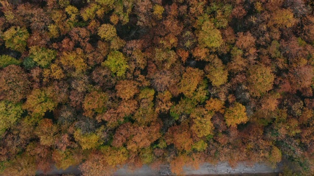 一辆汽车在冬季经过被树木和干树叶包围的山路的鸟瞰图。视频素材