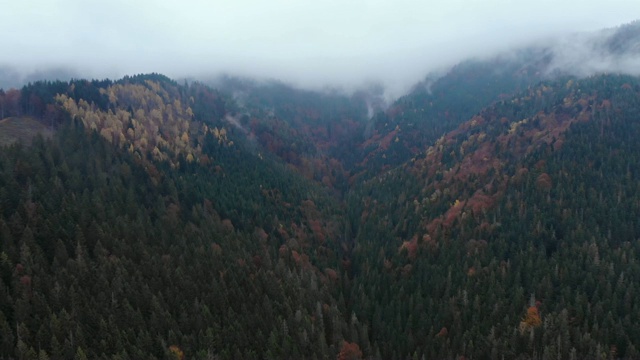 无人机镜头视图:飞行越过秋天的山与森林和田野。喀尔巴阡山脉，乌克兰，欧洲。雄伟的景观。视频素材