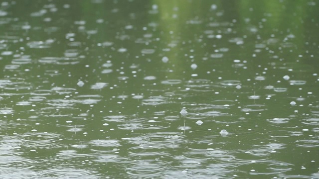 大雨落在水面上。雨滴和泡沫。水滴落入水库。视频下载