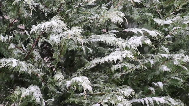 暴风雪视频素材